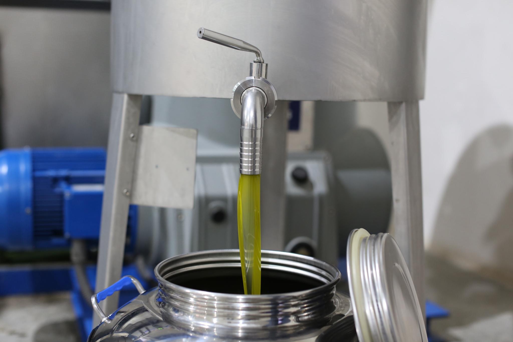 Frantoio con estrazione a freddo dell'olio extravergine DOP Monti Iblei