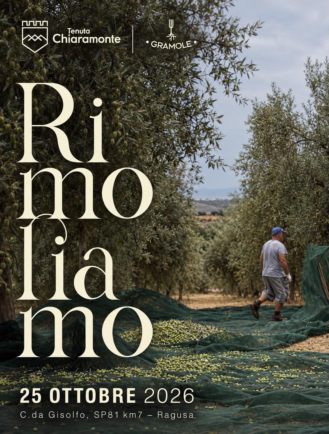 Affiche de Rimoliamo, 25 octobre 2026 : la récolte des olives à Tenuta Chiaramonte