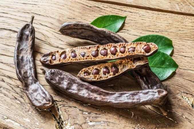 Il carrubo siciliano: olio, balsamico, cioccolato e proprietà del frutto degli Iblei